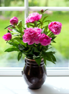 How to Keep Flowers Fresh Longer Image